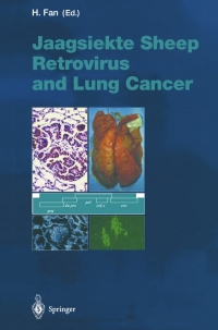 Immagine di copertina: Jaagsiekte Sheep Retrovirus and Lung Cancer 1st edition 9783540440963