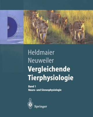 Cover image: Vergleichende Tierphysiologie 9783642629242