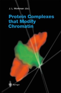 Imagen de portada: Protein Complexes that Modify Chromatin 1st edition 9783540442080