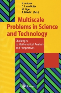 Cover image: Multiscale Problems in Science and Technology 1st edition 9783540435846