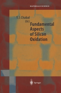 Cover image: Fundamental Aspects of Silicon Oxidation 1st edition 9783540416821