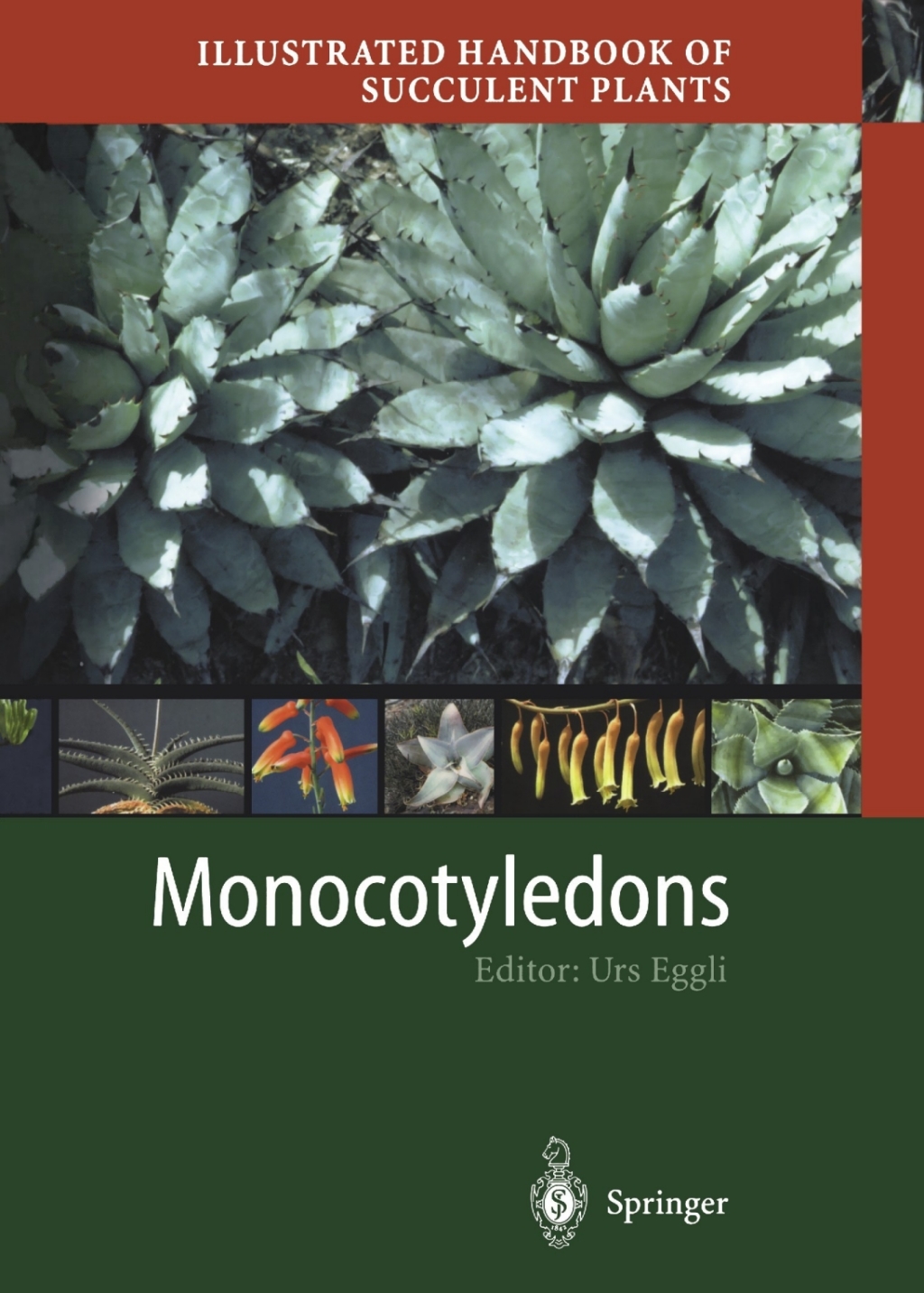 Illustrated Handbook of Succulent Plants: Monocotyledons 1st Edition