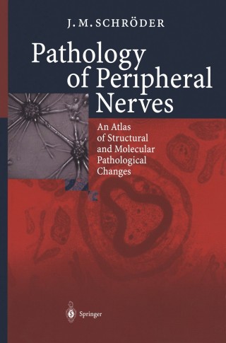 Imagen de portada: Pathology of Peripheral Nerves 9783540677185