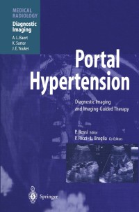 Cover image: Portal Hypertension 1st edition 9783540657972
