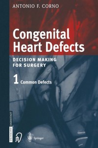 表紙画像: Congenital Heart Defects 9783642632457