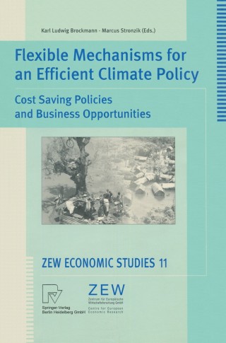 Cover image: Flexible Mechanisms for an Efficient Climate Policy 1st edition 9783790813142