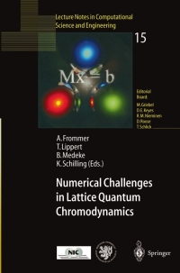 Titelbild: Numerical Challenges in Lattice Quantum Chromodynamics 1st edition 9783540677321