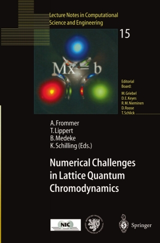 表紙画像: Numerical Challenges in Lattice Quantum Chromodynamics 1st edition 9783540677321