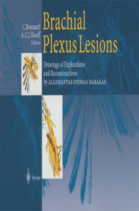 Cover image: Brachial Plexus Lesions 1st edition 9783540634287
