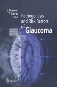 表紙画像: Pathogenesis and Risk Factors of Glaucoma 1st edition 9783540659129