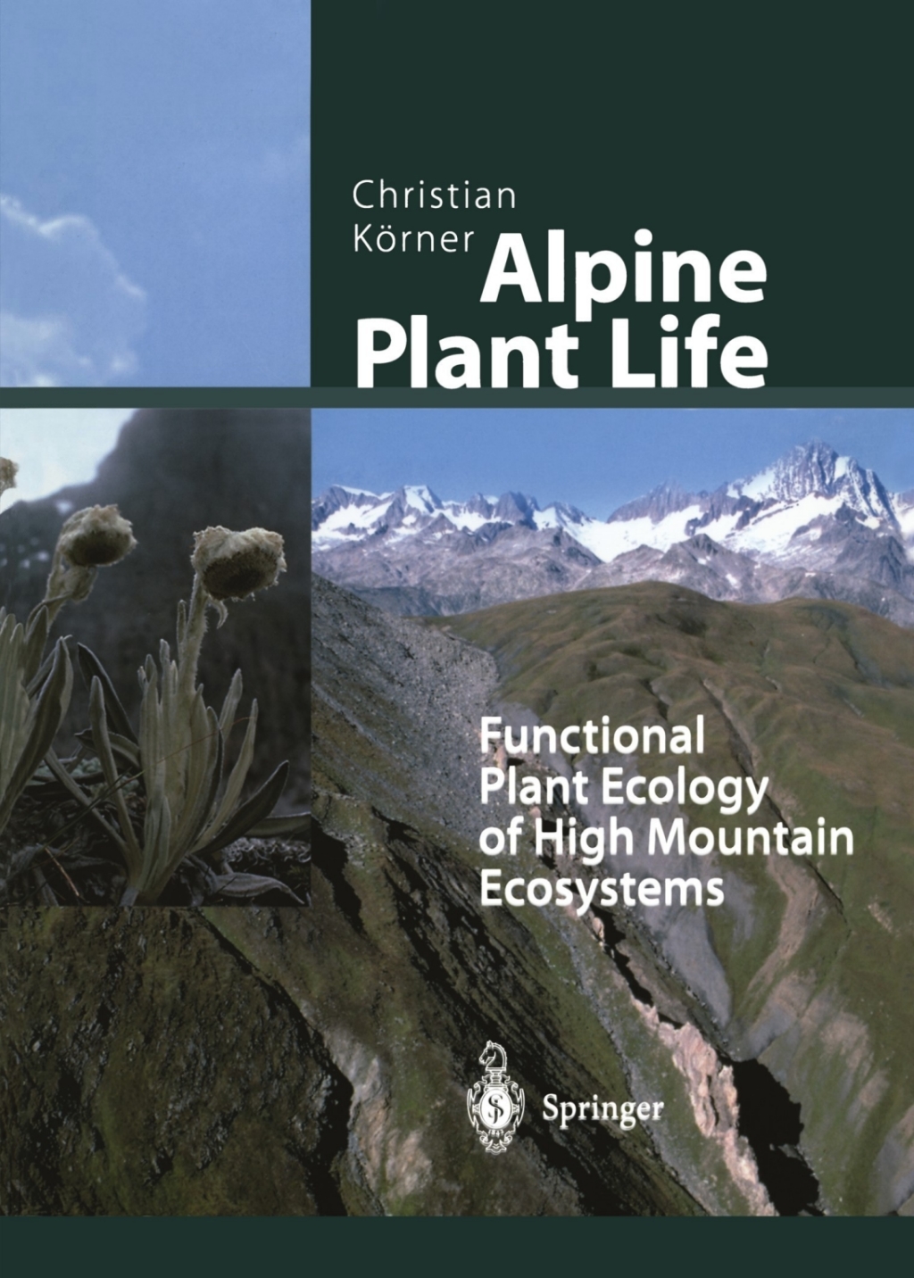 Alpine Plant Life Functional Plant Ecology of High Mountain Ecosystems