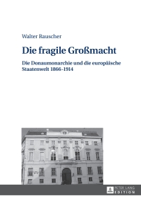 Imagen de portada: Die fragile Großmacht 1st edition 9783631653388