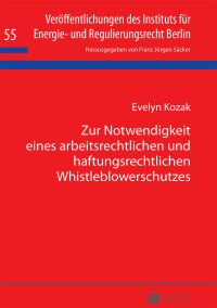 Imagen de portada: Zur Notwendigkeit eines arbeitsrechtlichen und haftungsrechtlichen Whistleblowerschutzes 1st edition 9783631672075