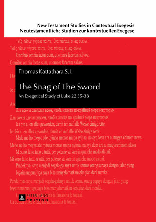 表紙画像: The Snag of The Sword 1st edition 9783631653531