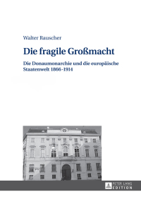 Titelbild: Die fragile Großmacht 1st edition 9783631653388