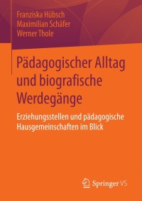 表紙画像: Pädagogischer Alltag und biografische Werdegänge 9783658058784