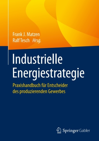 Imagen de portada: Industrielle Energiestrategie 9783658076054