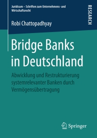 Cover image: Bridge Banks in Deutschland 9783658193706