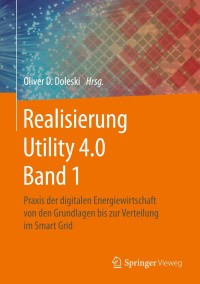 Cover image: Realisierung Utility 4.0 Band 1 9783658253318