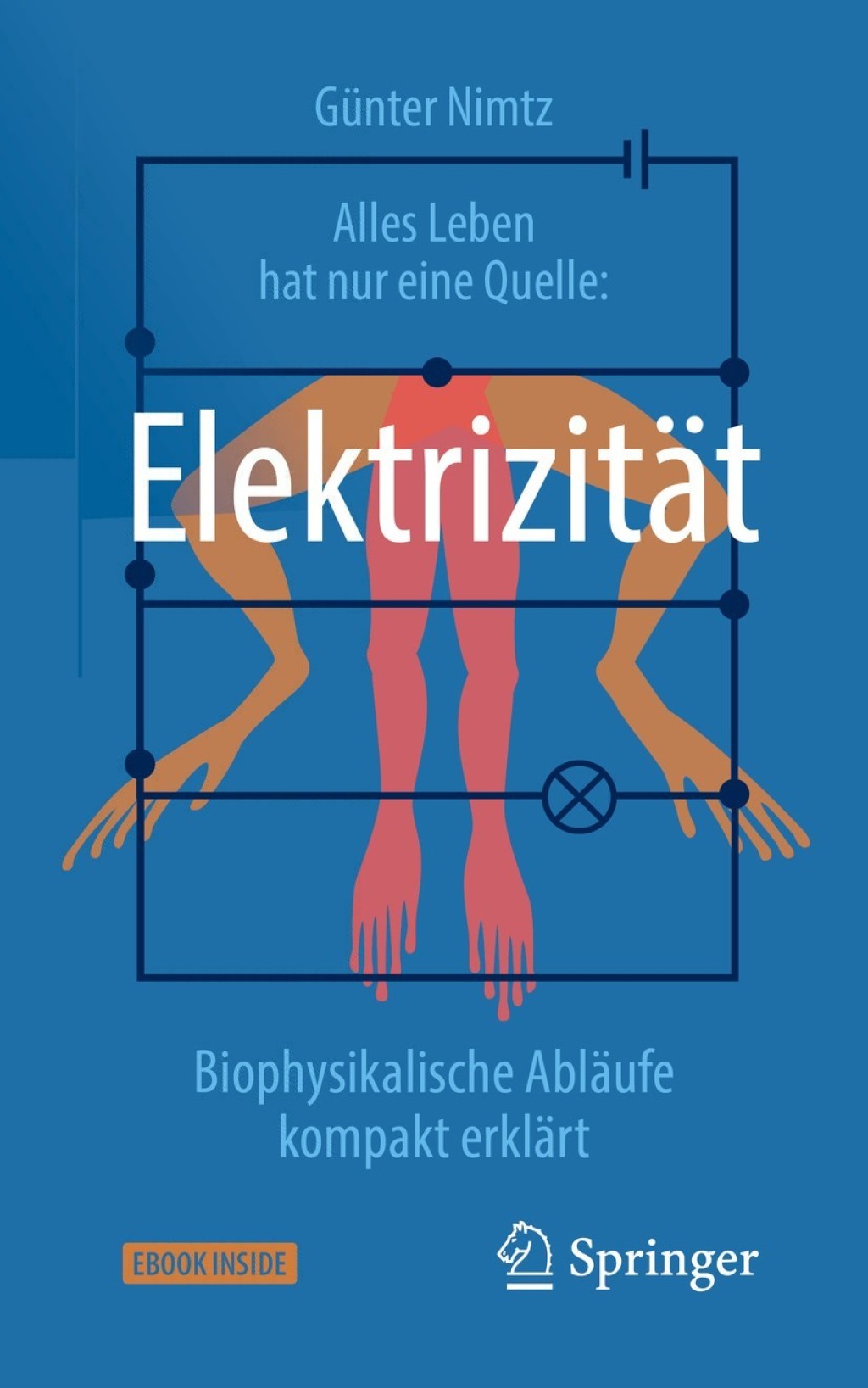 Alles Leben hat nur eine Quelle: Elektrizität Biophysikalische Abläufe kompakt erklärt 2nd Edition