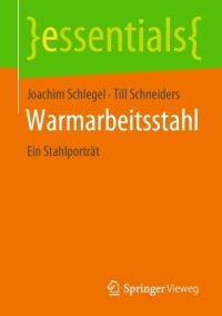Cover image: Warmarbeitsstahl 9783658395407