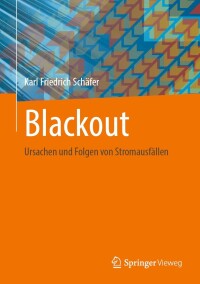 Cover image: Blackout 9783658433314