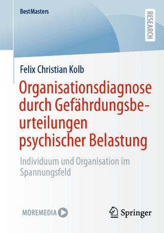 Cover image: Organisationsdiagnose durch Gefährdungsbeurteilungen psychischer Belastung 9783658493455