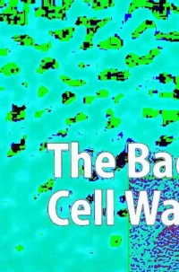 Immagine di copertina: The Bacterial Cell Wall 9783540426080