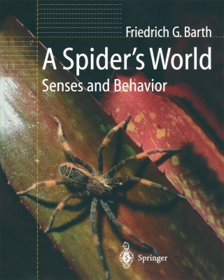 Cover image: A Spider’s World 9783642075575