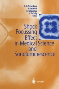 Imagen de portada: Shock Focussing Effect in Medical Science and Sonoluminescence 1st edition 9783540425144