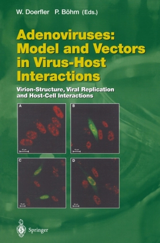 Imagen de portada: Adenoviruses: Model and Vectors in Virus-Host Interactions 1st edition 9783662055977