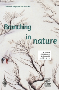 Cover image: Branching in Nature 1st edition 9783540418887