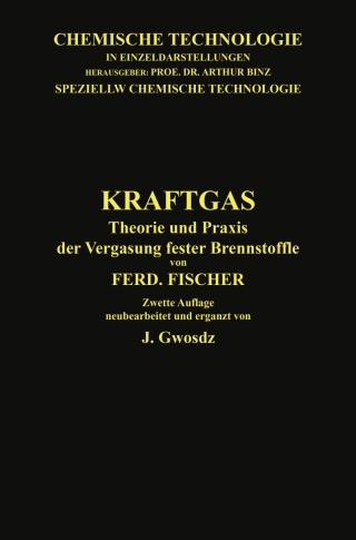 Imagen de portada: Kraftgas 2nd edition 9783662335161