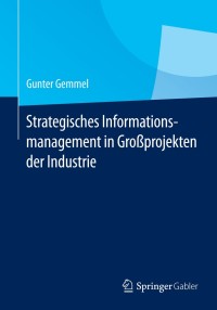 Cover image: Strategisches Informationsmanagement in Großprojekten der Industrie 9783662434222