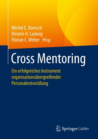 Imagen de portada: Cross Mentoring 9783662531839