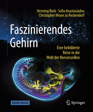 Cover image: Faszinierendes Gehirn 2nd edition 9783662547557