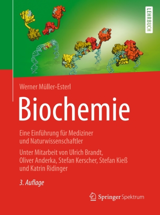 Immagine di copertina: Biochemie 3rd edition 9783662548509