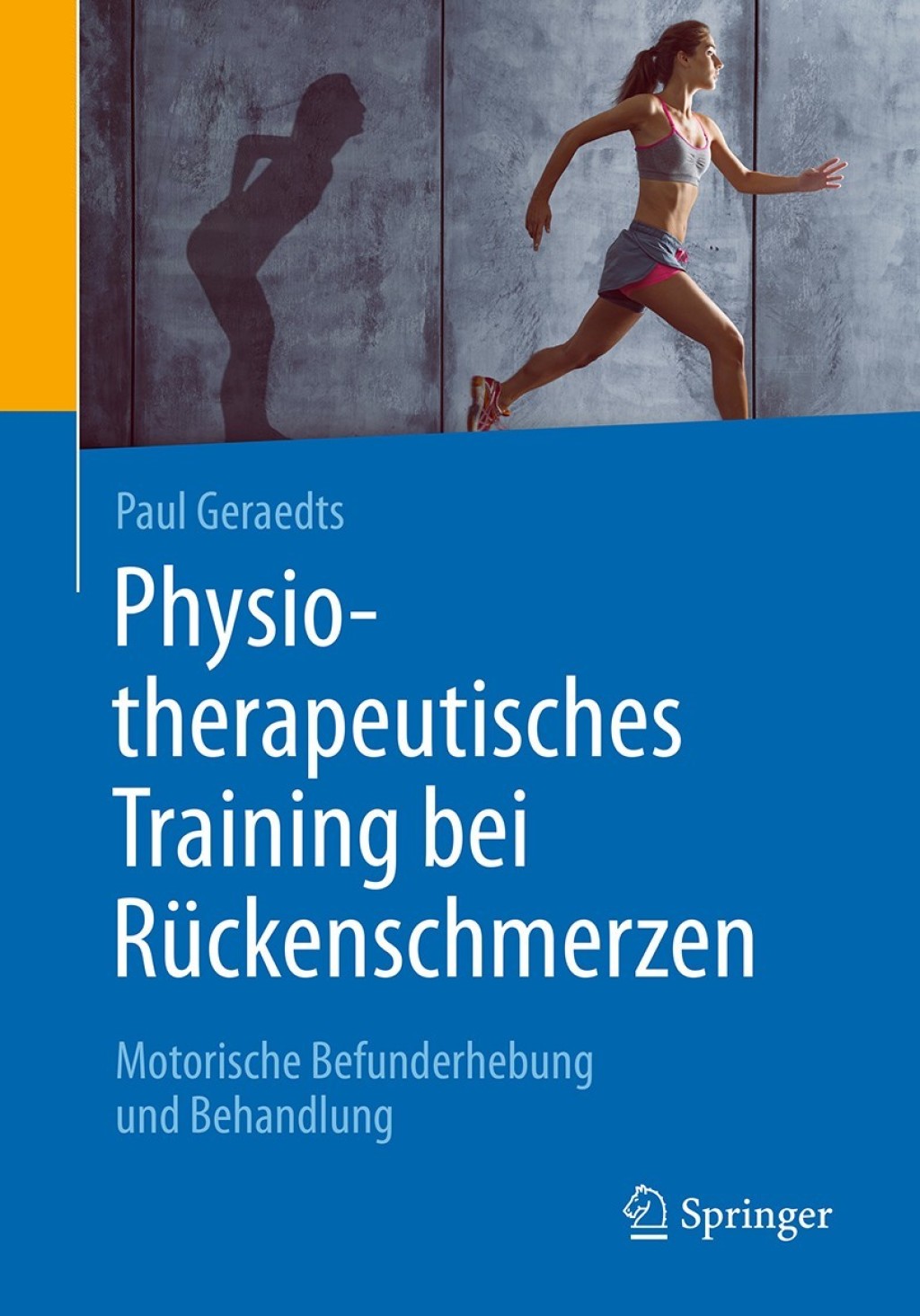 Physiotherapeutisches Training bei Rückenschmerzen Motorische Befunderhebung und Behandlung
