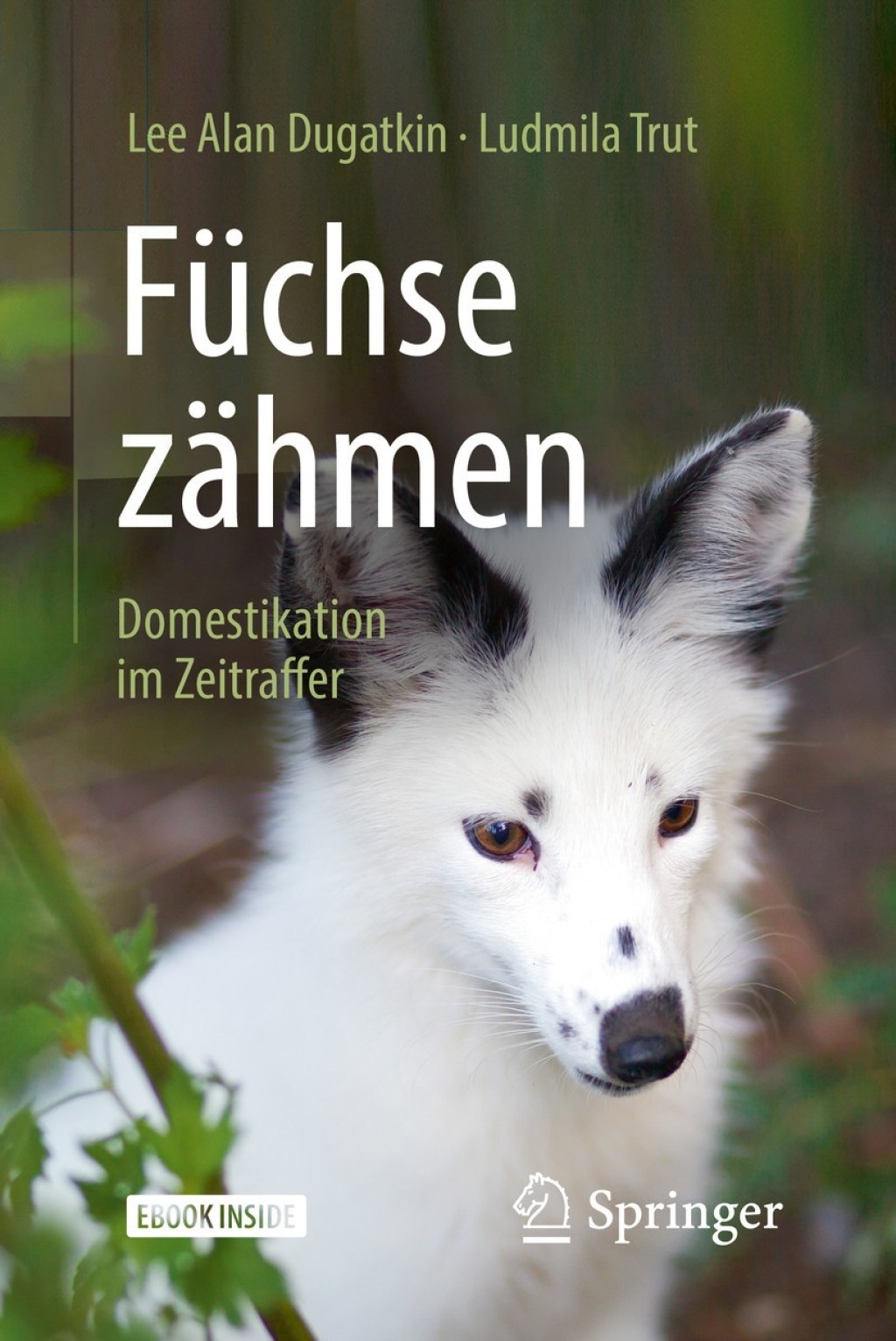 Füchse zähmen Domestikation im Zeitraffer