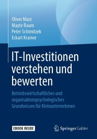 Cover image: IT-Investitionen verstehen und bewerten 9783662590638