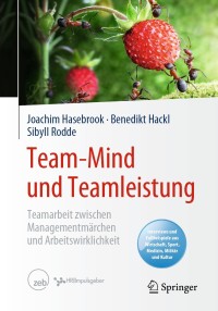 Imagen de portada: Team-Mind und Teamleistung 9783662606261