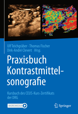 Imagen de portada: Praxisbuch Kontrastmittelsonografie 9783662616857
