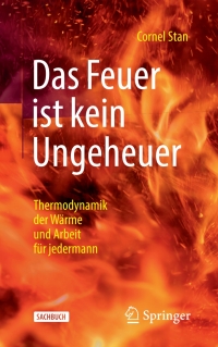 Imagen de portada: Das Feuer ist kein Ungeheuer 9783662649862