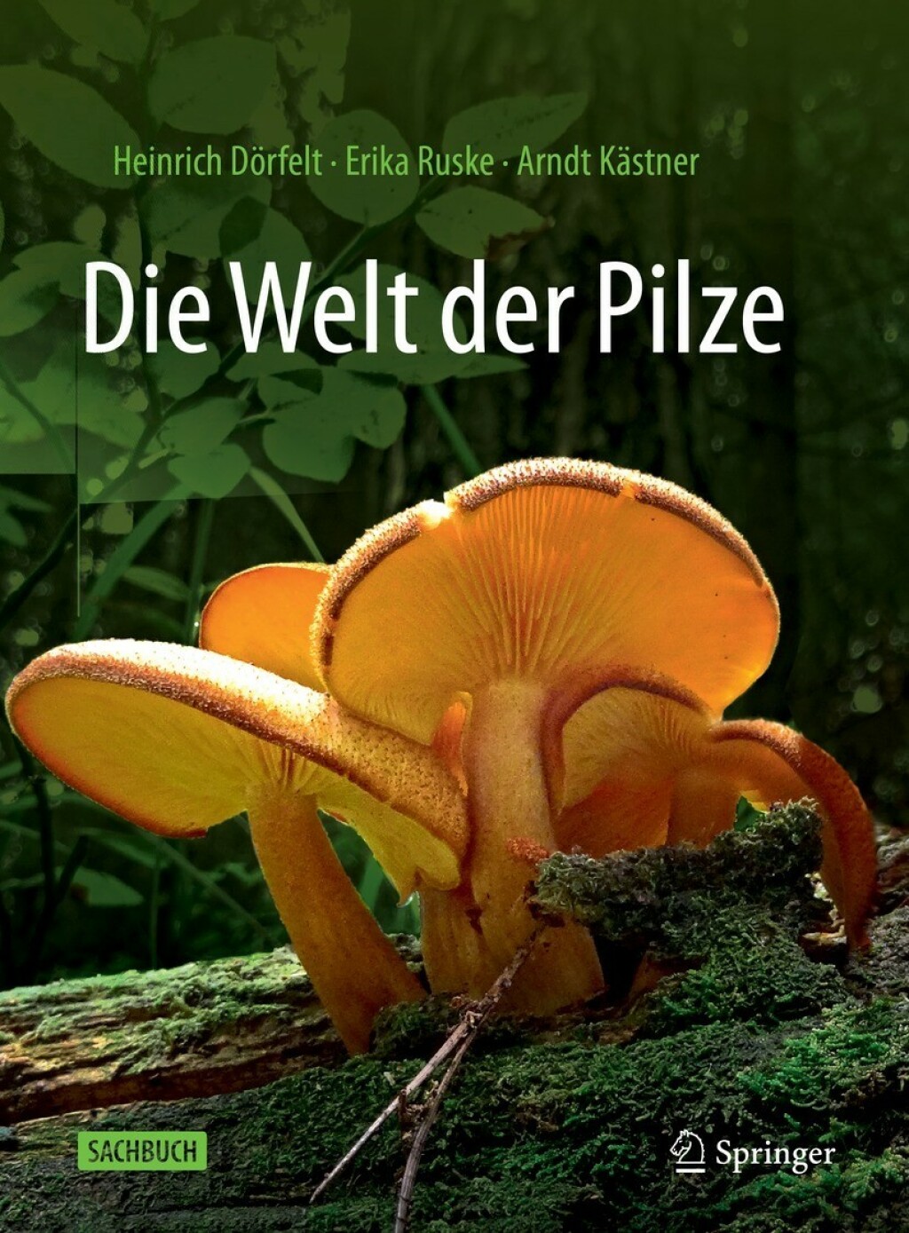 Die Welt der Pilze 3rd Edition