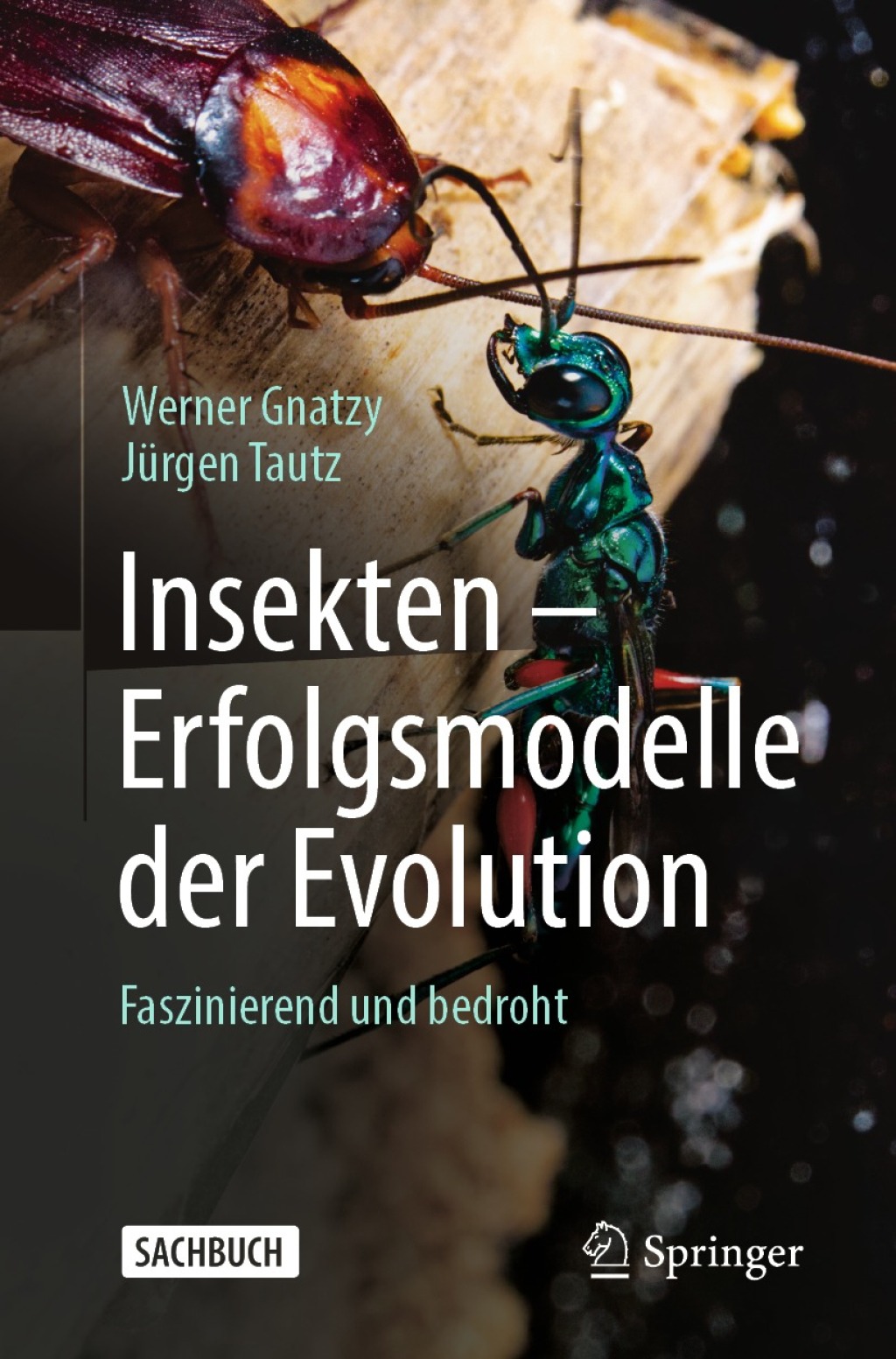 Insekten – Erfolgsmodelle der Evolution Faszinierend und bedroht