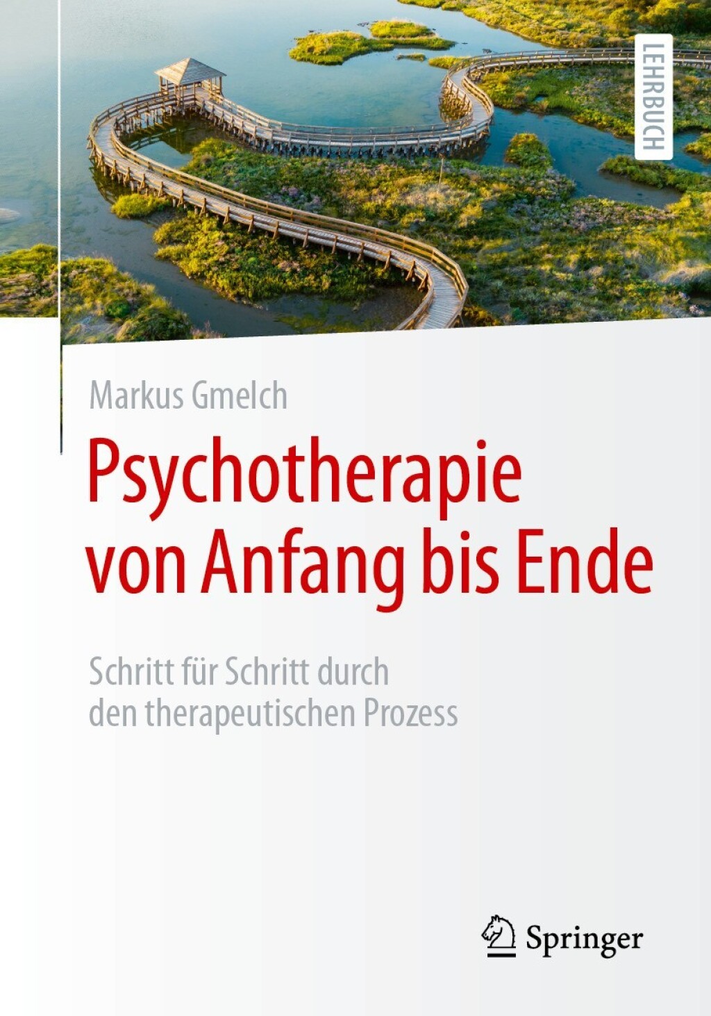 ISBN 9783662684894 product image for Psychotherapie von Anfang bis Ende (eBook Rental) | upcitemdb.com