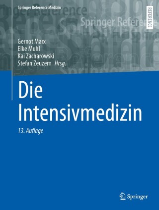 Cover image: Die Intensivmedizin 13th edition 9783662686980