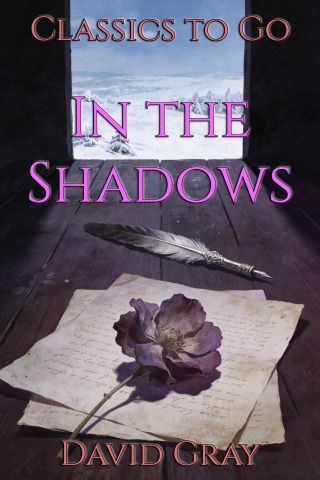Imagen de portada: In the Shadows