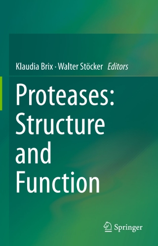 Imagen de portada: Proteases: Structure and Function 9783709108840