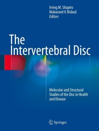 Cover image: The Intervertebral Disc 9783709115343